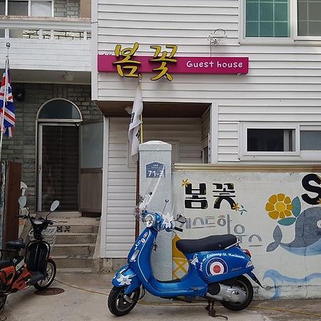 Guesthouse Spring Flower Seogwipo Exterior foto