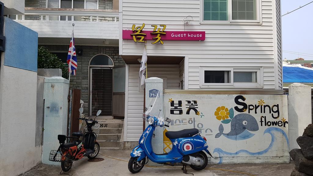 Guesthouse Spring Flower Seogwipo Exterior foto